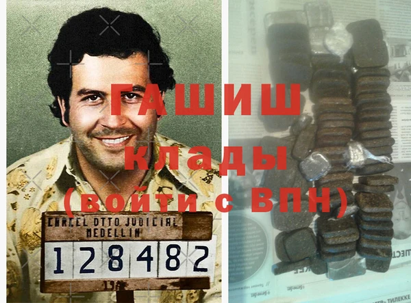 стаф Алексин