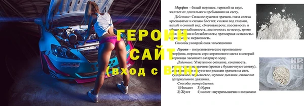 стаф Алексин