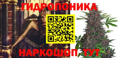 jwh Шахты