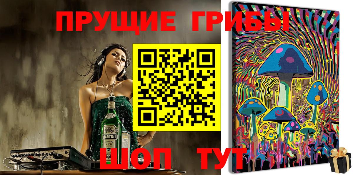 Галлюциногенные грибы Psilocybe  Вход с VPN  Истра 